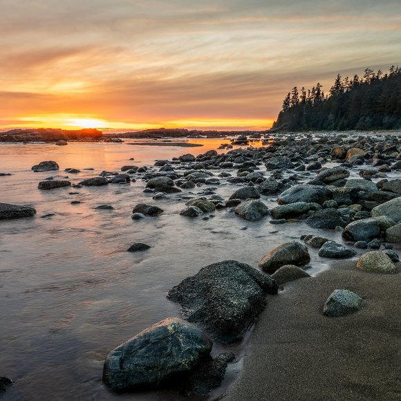 Meet your Posher - Picture 1 of 1